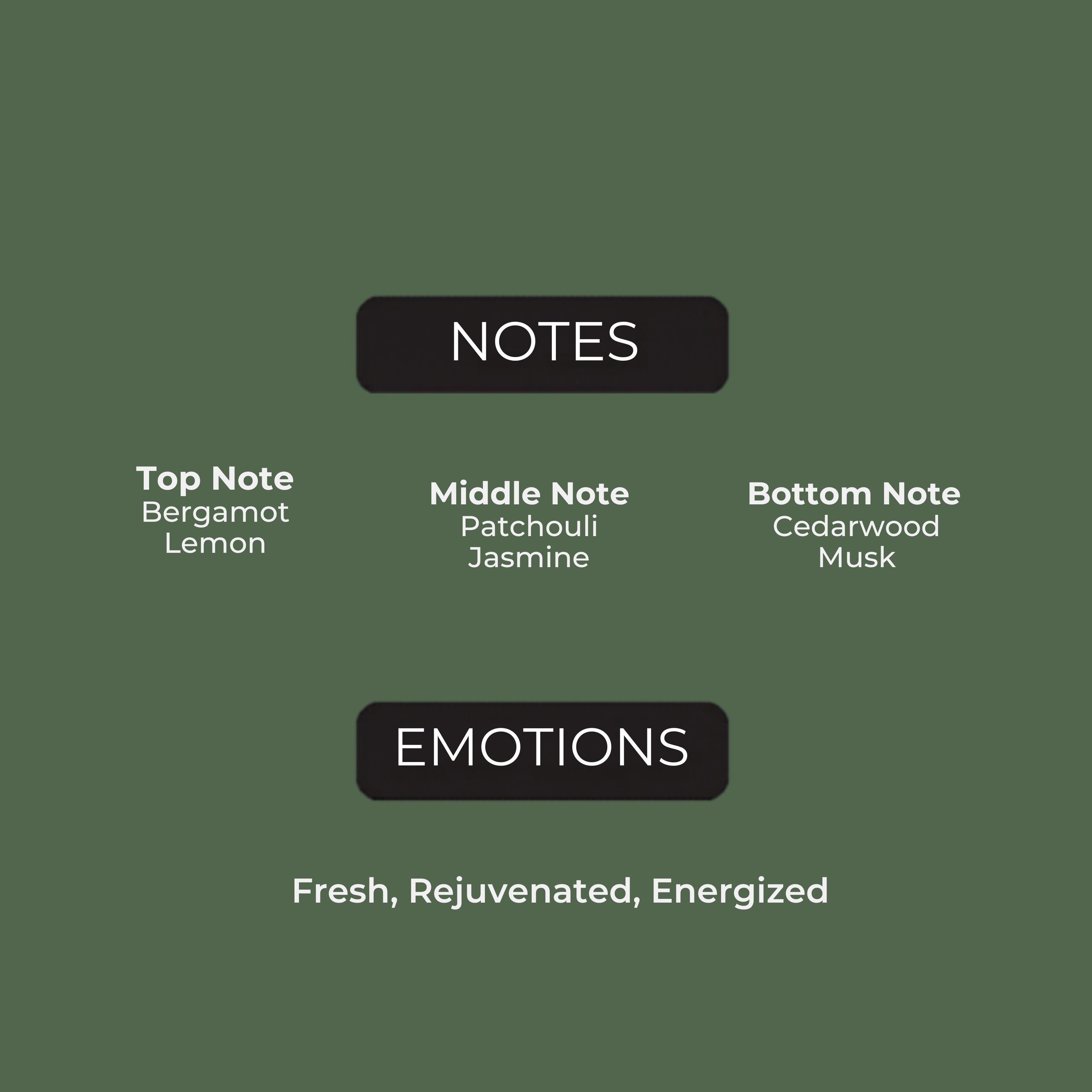 FOREST ECHO  PERFUME