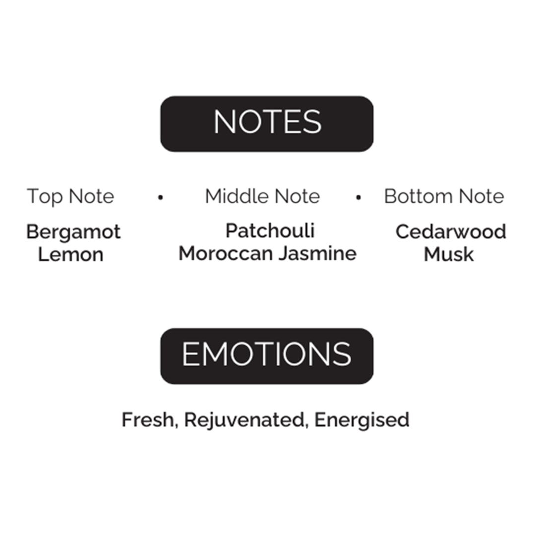 FOREST ECHO  PERFUME 100 ML