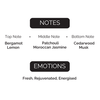 FOREST ECHO  PERFUME 100 ML
